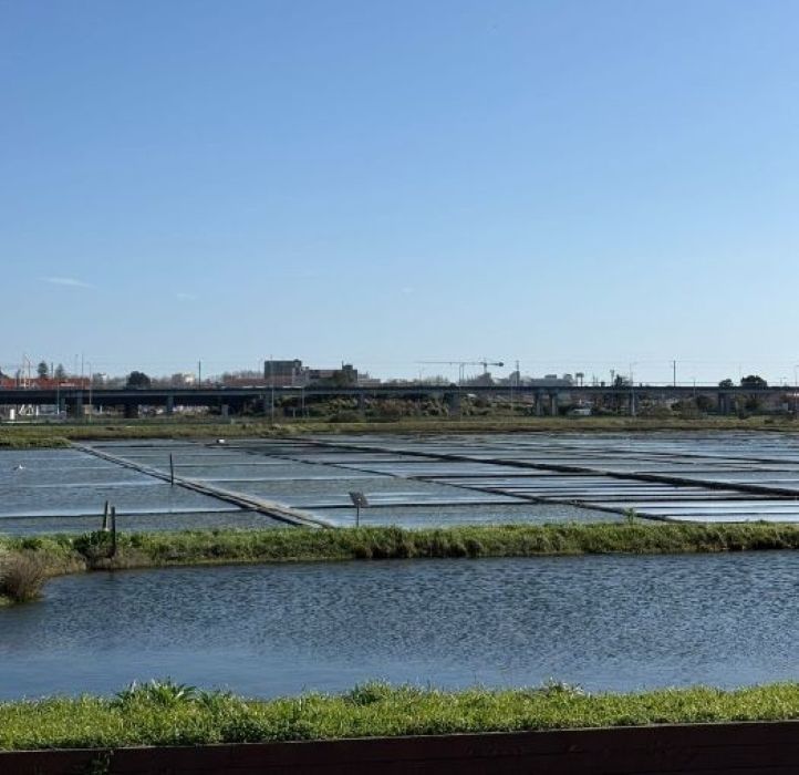 Porque deve visitar as Salinas de Aveiro